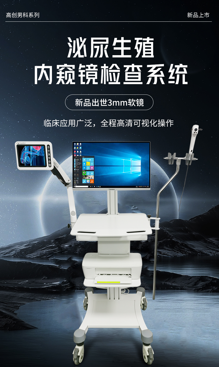 泌尿生殖内窥镜检查系统